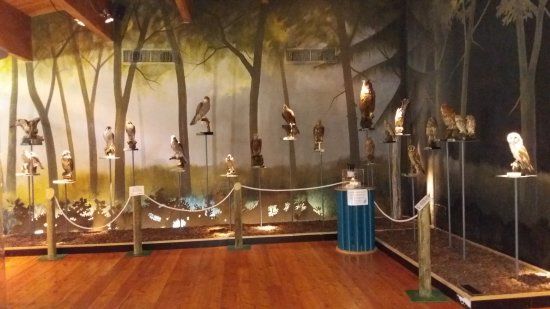 Ecomuseo delle Acque di Ridracoli